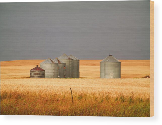 Landscape Wood Print featuring the photograph North Dakota Landscape by Jeff Swan