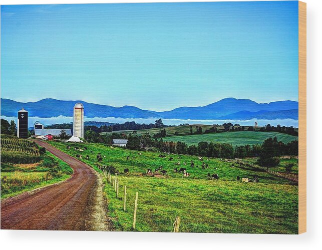 Vermont Dairy Farm Wood Print featuring the photograph North Troy Dairy by John Nielsen