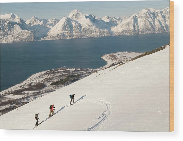 Cold Weather Wood Print featuring the photograph Norwegian Skiers Climb Above Lyngen by Kari Medig