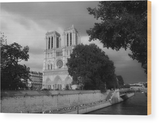 Paris Wood Print featuring the photograph Notre Dame de Paris 2b by Andrew Fare