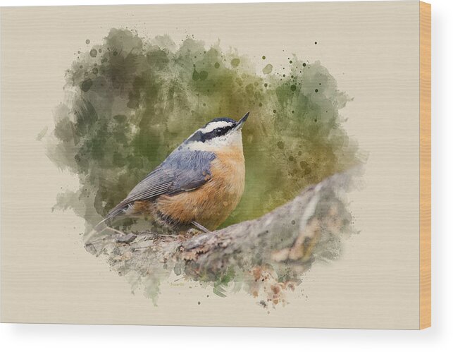 Nuthatch Wood Print featuring the mixed media Nuthatch Watercolor Art by Christina Rollo