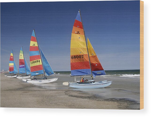 Ocean City Wood Print featuring the photograph Ocean City Cats by Dan Myers