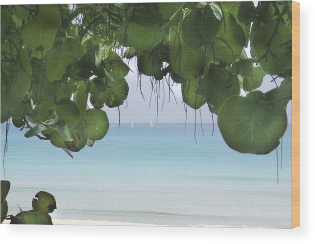 Ocean Wood Print featuring the photograph Ocen view by Nick Mares