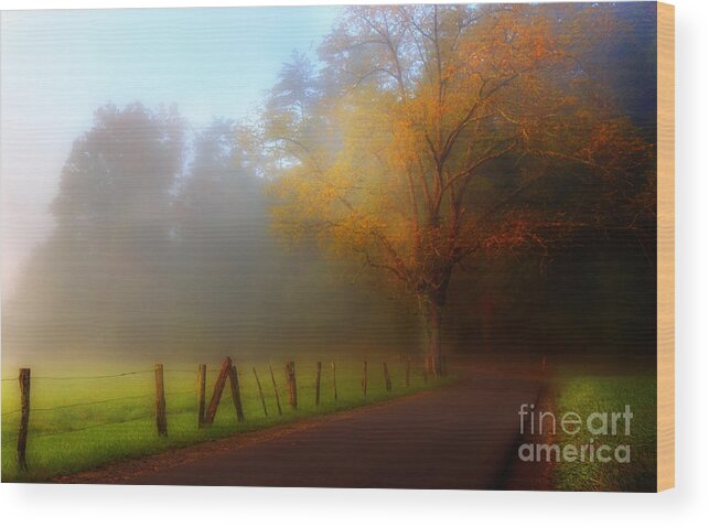 Cades Cove Wood Print featuring the photograph October And Fog by Michael Eingle
