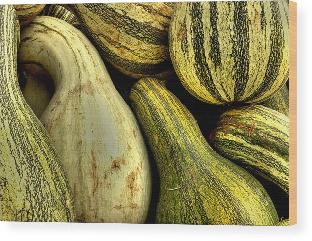 Gourds Wood Print featuring the photograph October Gourds by Michael Eingle