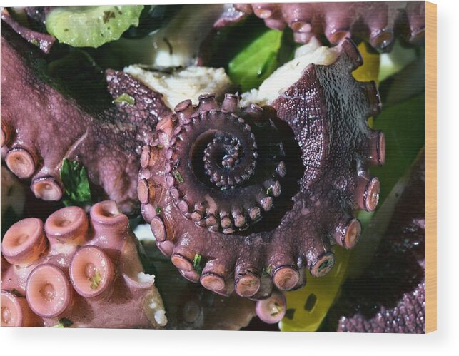 Octopus Salad Wood Print featuring the photograph Octopus Salad by JC Findley