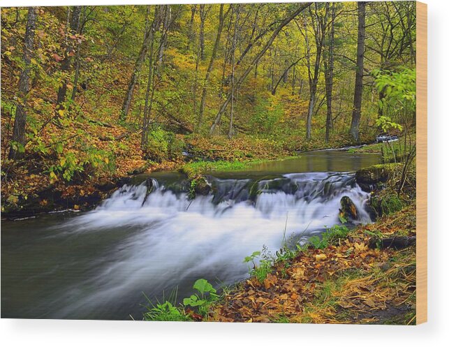 Water Wood Print featuring the photograph Off The Beaten Path by Bonfire Photography