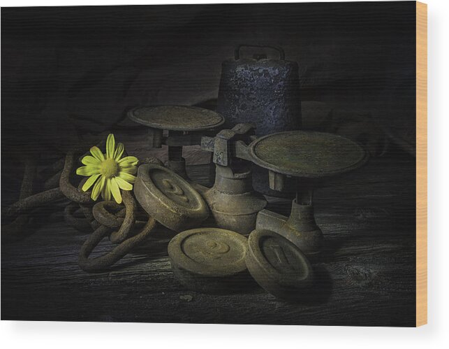 Rust Wood Print featuring the photograph Old and Rusted Still Life by Tom Mc Nemar
