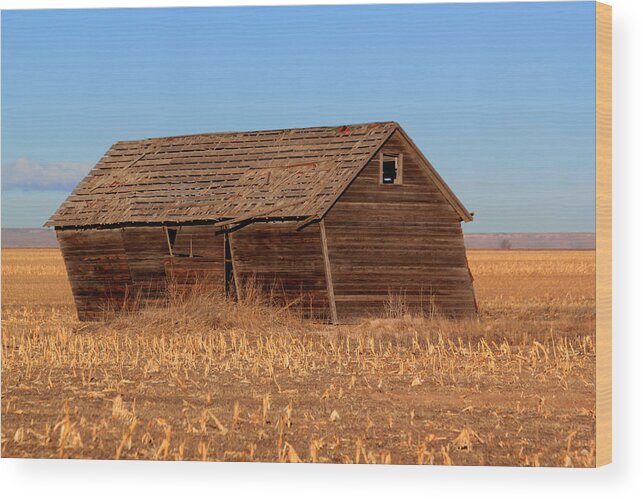 Old Wood Print featuring the photograph Old Barn by Shane Bechler