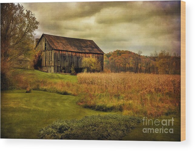 Barn Wood Print featuring the photograph Old Barn In October by Lois Bryan