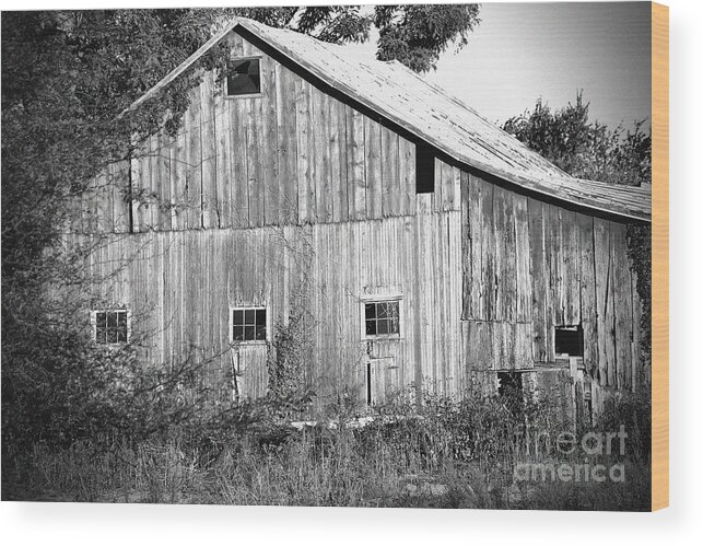 Barn Wood Print featuring the photograph Old Barn by Karen Adams