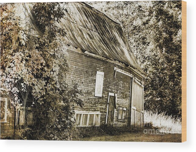 Barn Wood Print featuring the photograph Old But Not Forgotten by Deborah Benoit