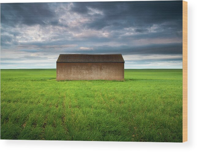 Tranquility Wood Print featuring the photograph Old Farm Shed In Green Wheat Field by Robert Lang Photography