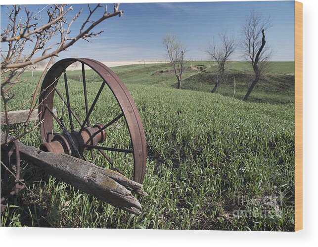 Wagon Wood Print featuring the photograph Old Farm Wagon by Art Whitton