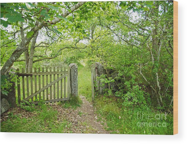 Age Wood Print featuring the photograph Old Garden Gate by Kennerth and Birgitta Kullman