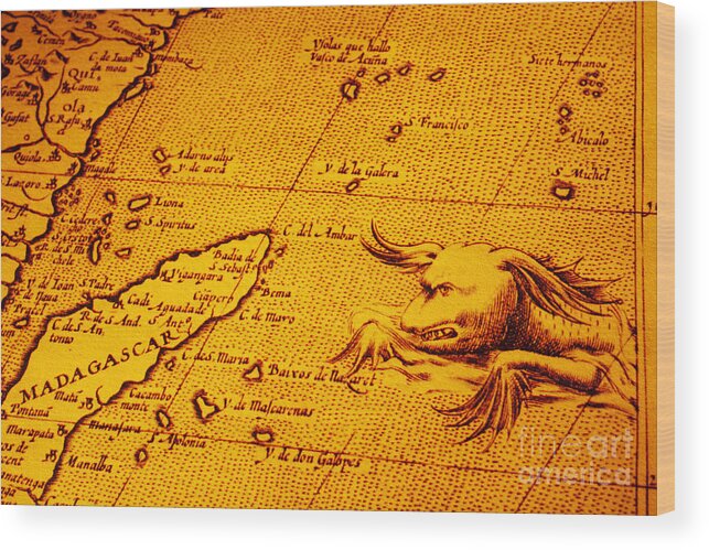 Africa Wood Print featuring the photograph Old Map of Africa Madagascar With Sea Monster by Colin and Linda McKie