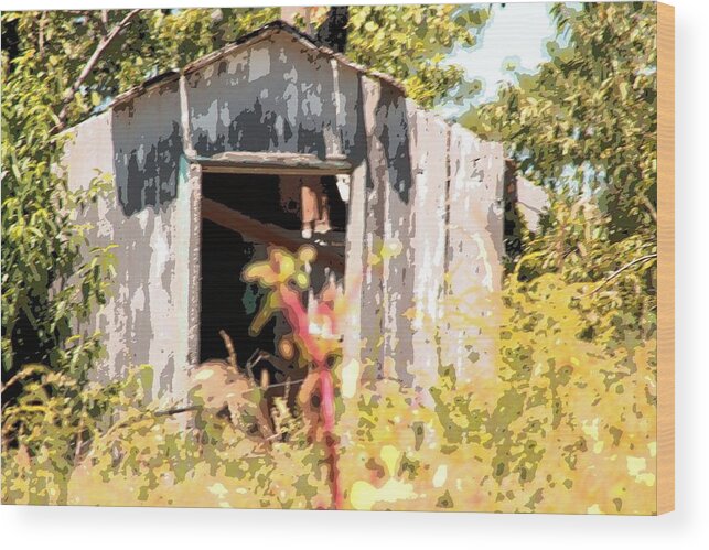 Landscape Wood Print featuring the photograph Old Shed by Teresa Morris