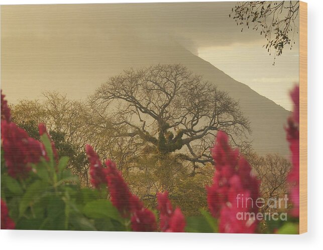 Landscape Wood Print featuring the photograph Ometepe Island 2 by Rudi Prott