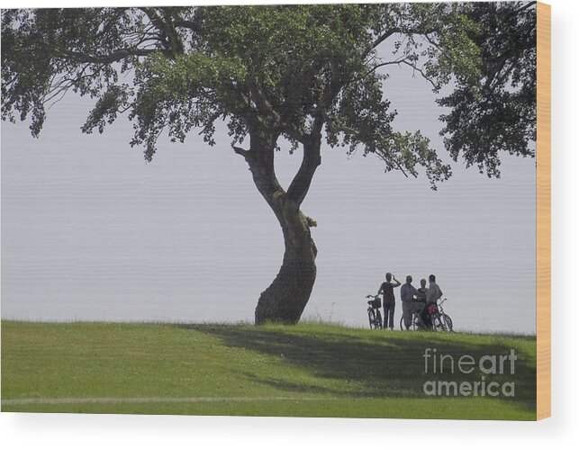 Heiko Wood Print featuring the photograph On the Banks of the Baltic Sea by Heiko Koehrer-Wagner