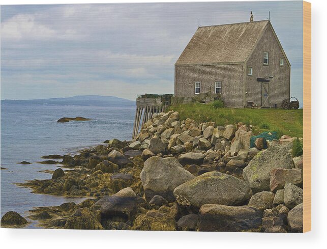 Nova Scotia Wood Print featuring the photograph On the Edge by John Babis