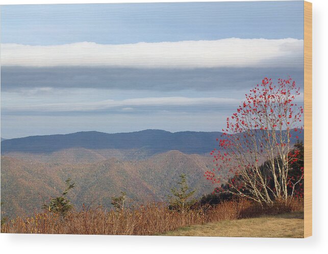 Clouds Wood Print featuring the photograph On the Horizon by Jennifer Robin