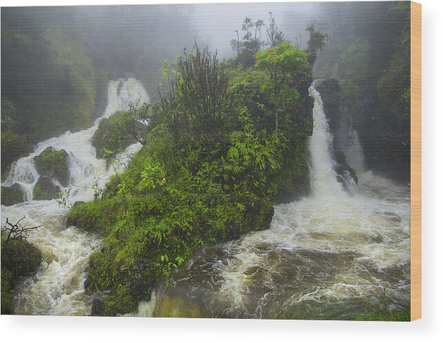 Maui Wood Print featuring the photograph On The Road To Hana by Theresa Tahara