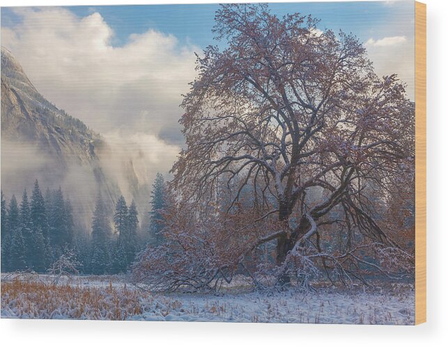 Landscape Wood Print featuring the photograph One Beauty by Jonathan Nguyen
