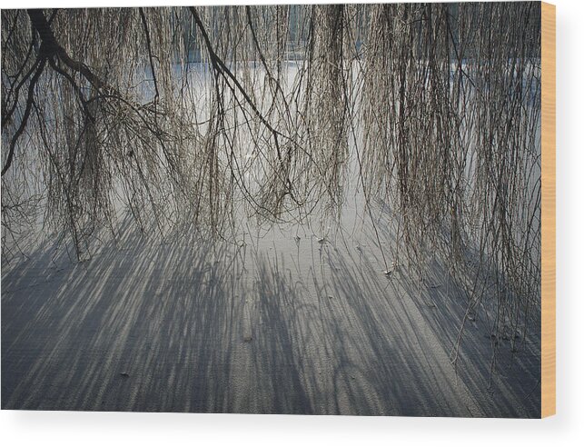 Ice Wood Print featuring the photograph Oosterpark Amsterdam by Jerry Daniel