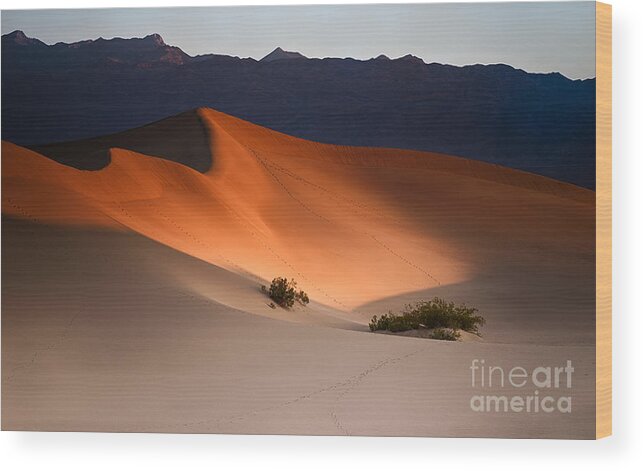 Death Valley National Park Wood Print featuring the photograph Orange Crush by Jennifer Magallon