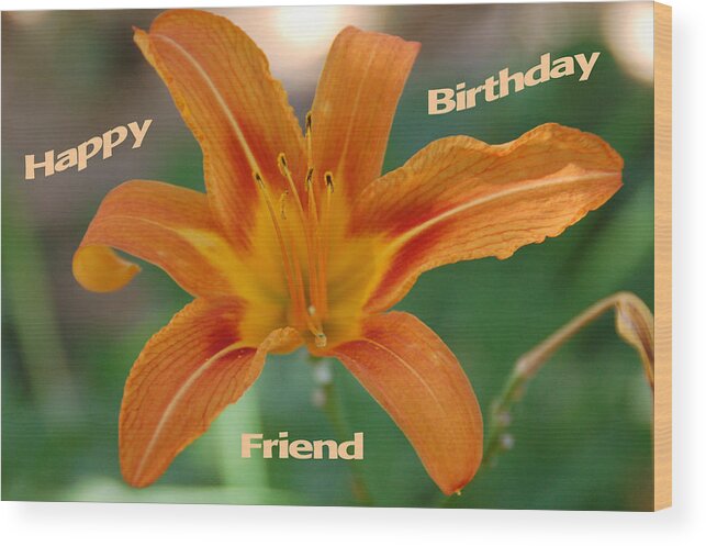 Flower Wood Print featuring the photograph Orange Lily Birthday by Aimee L Maher ALM GALLERY