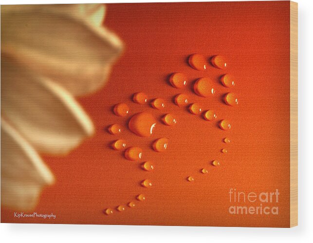 Flower Wood Print featuring the photograph Still Life - Orange Water Flowers by Kip Krause