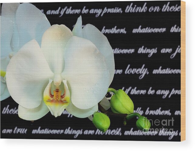 Religion Wood Print featuring the photograph Orchids and Scripture by Pattie Calfy
