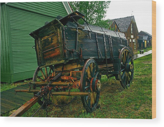 Horse Drawn Wagon Wood Print featuring the photograph Original Minivan by Mike Flynn