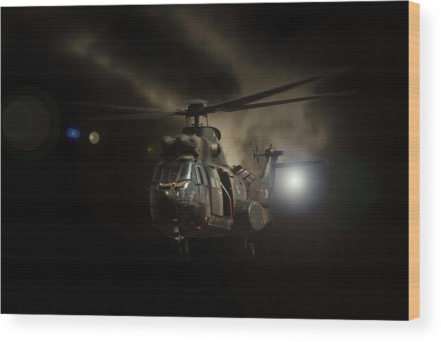 Atlas Oryx Wood Print featuring the photograph Oryx Landing by Paul Job