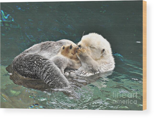 Otter Wood Print featuring the photograph Otter Dreams by Mindy Bench