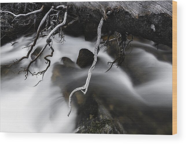Long Exposure Wood Print featuring the photograph Out On A Limb by Chuck Jason