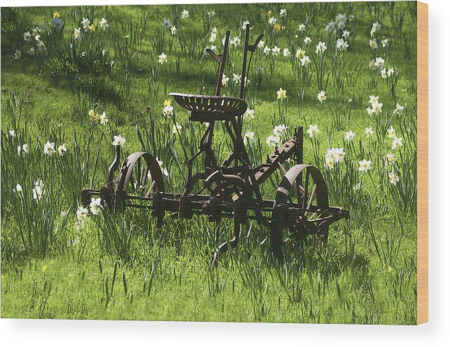 Farm Equipment Wood Print featuring the photograph Out To Pasture 2 by Sherri Meyer