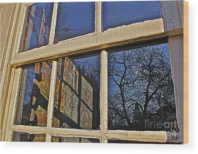 Window Photography Wood Print featuring the photograph Outside In by Geri Glavis