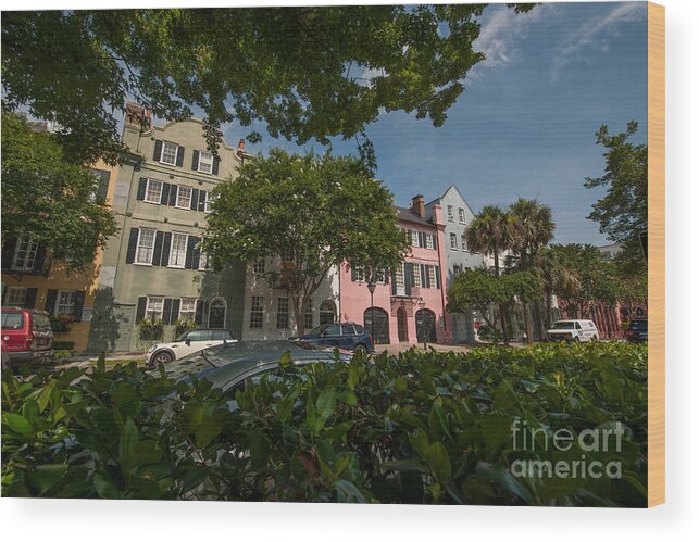 Rainbow Row Wood Print featuring the photograph Over the Shrubs by Dale Powell