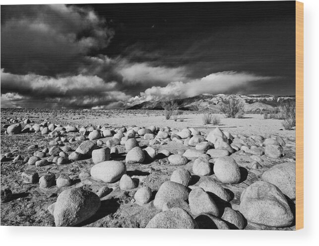 Landscape Wood Print featuring the photograph Owens Dry Lakebed by Cat Connor