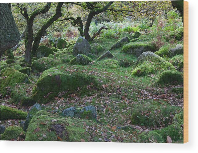 Padley Gorge Wood Print featuring the photograph Padley Gorge by Nick Atkin