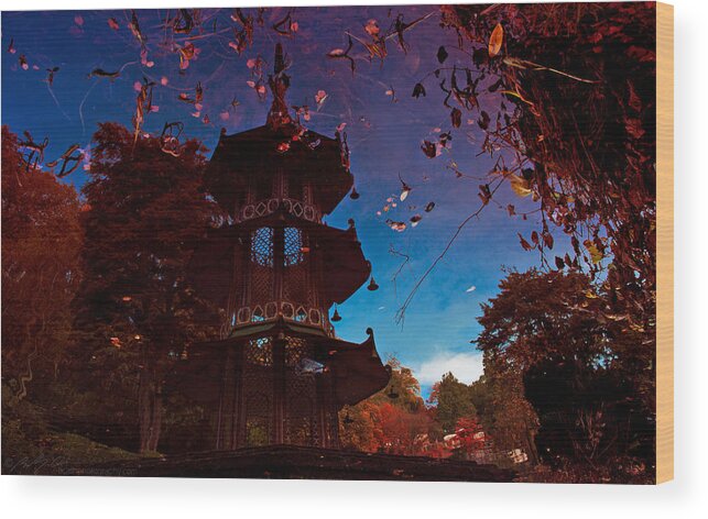 Lake Wood Print featuring the photograph Pagoda Reflection by B Cash