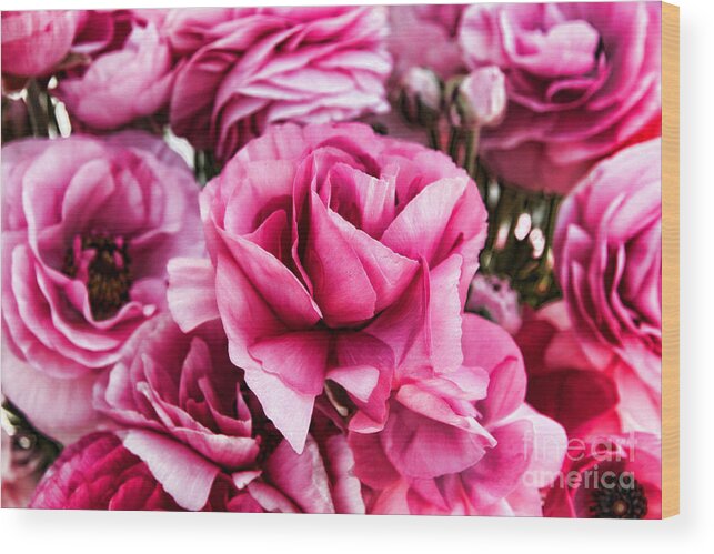 Ranunculus Wood Print featuring the photograph Paint Me Pink Ranunculus Flowers By Diana Sainz by Diana Raquel Sainz