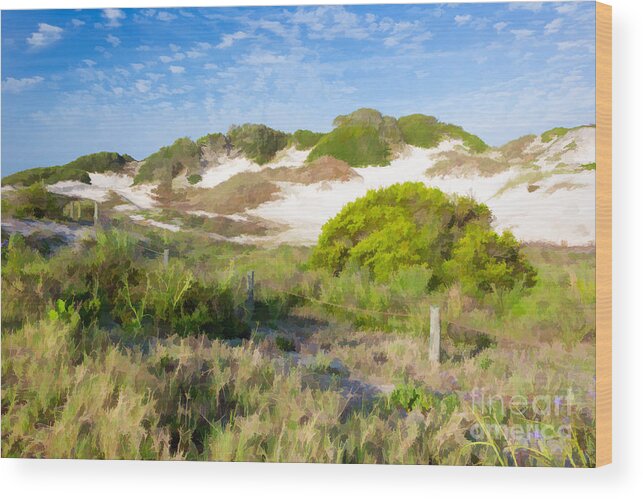 Amelia Island Wood Print featuring the photograph Paintography of NaNa Dunes American Beach Florida by Dawna Moore Photography