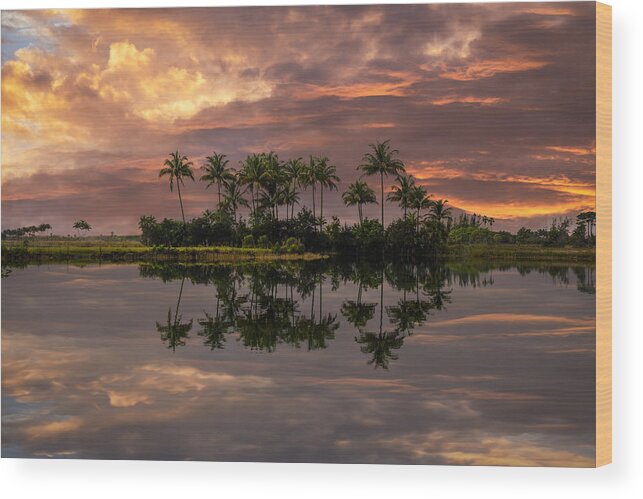 Boats Wood Print featuring the photograph Palm Trees at Sunset by Debra and Dave Vanderlaan