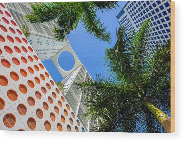 Architecture Wood Print featuring the photograph Palms and Circles by Raul Rodriguez