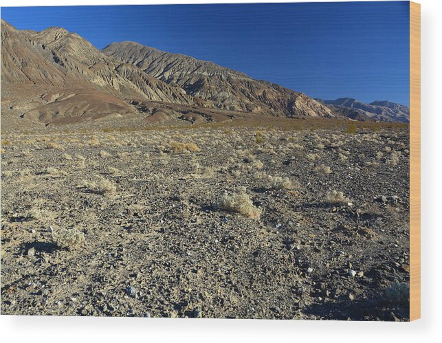 Desert Wood Print featuring the photograph Panamint Mountains Alluvial Fan November 16 2014 by Brian Lockett