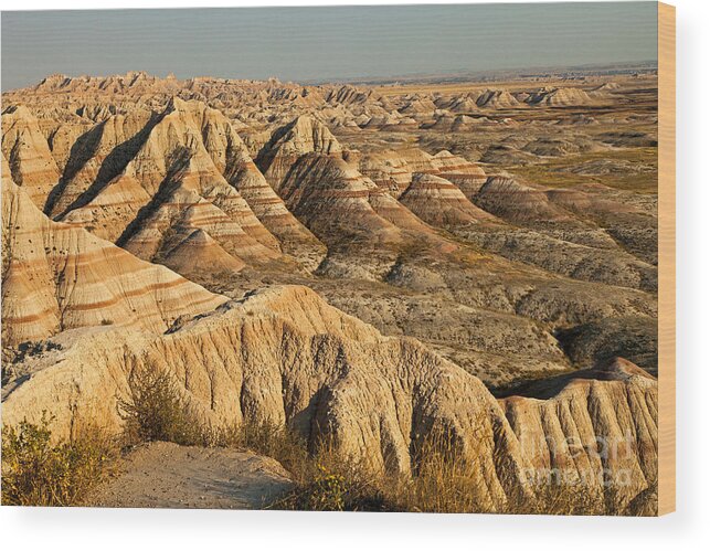 Afternoon Wood Print featuring the photograph Panorama Point Badlands National Park by Fred Stearns