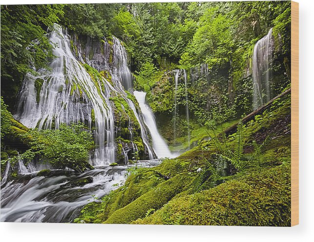 Panther Creek Falls Wood Print featuring the photograph Panther Creek Falls by Brian Bonham
