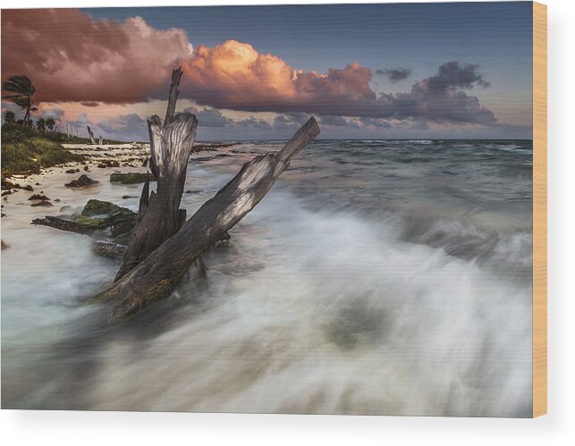 Sunset Wood Print featuring the photograph Paradise Lost by Mihai Andritoiu